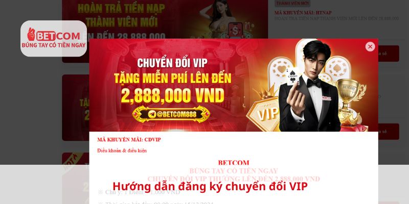 Hướng dẫn đăng ký chuyển đổi VIP