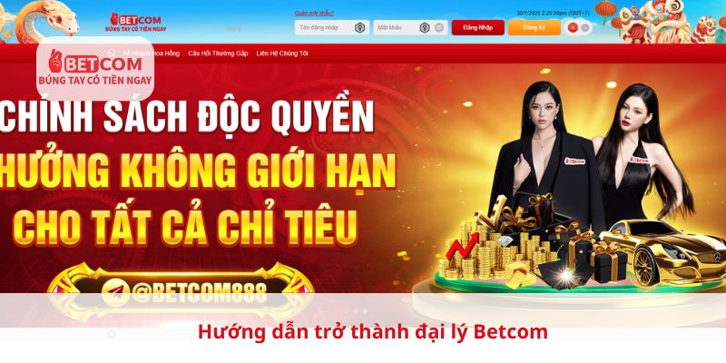 Hướng dẫn trở thành đại lý Betcom
