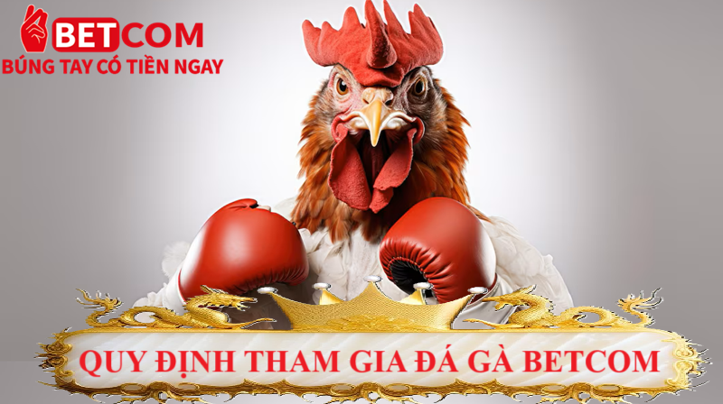 Đá Gà Betcom – Sảnh Cược Đỉnh Cao 2025, Kịch Tính Từng Trận! 3 quy định tham gia đá gà Betcom