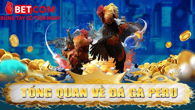 Đấu Trường Đá Gà Peru Betcom – Cơ Hội Chốt Cược Thắng 99%! 2 tổng quan về Đá gà Peru